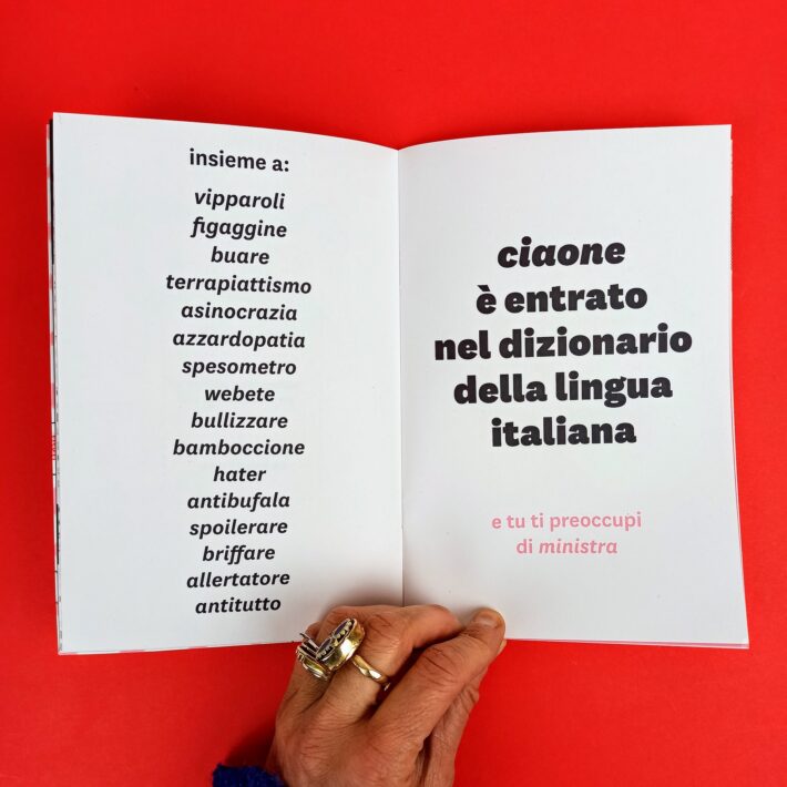 Non_ho_parole5