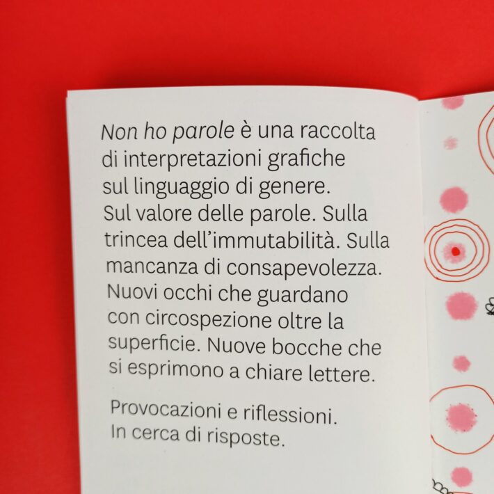 Non_ho_parole7