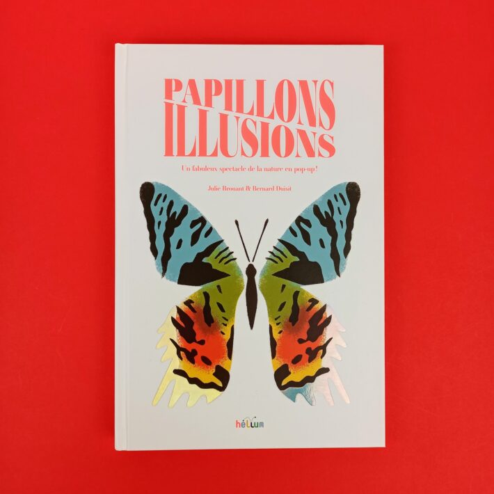 Papillons_illusions1