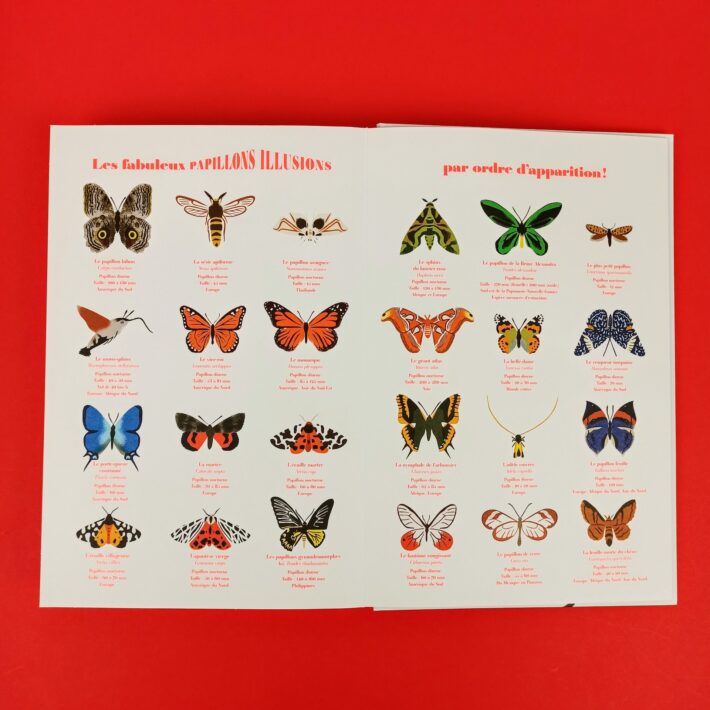 Papillons_illusions7