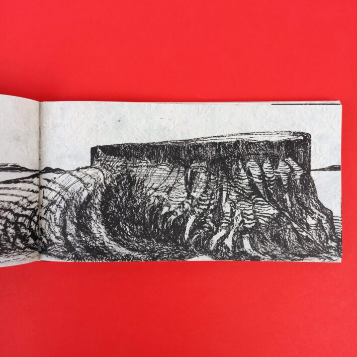 Patagonia3