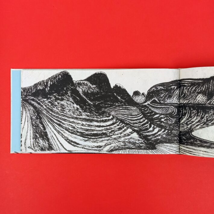 Patagonia4