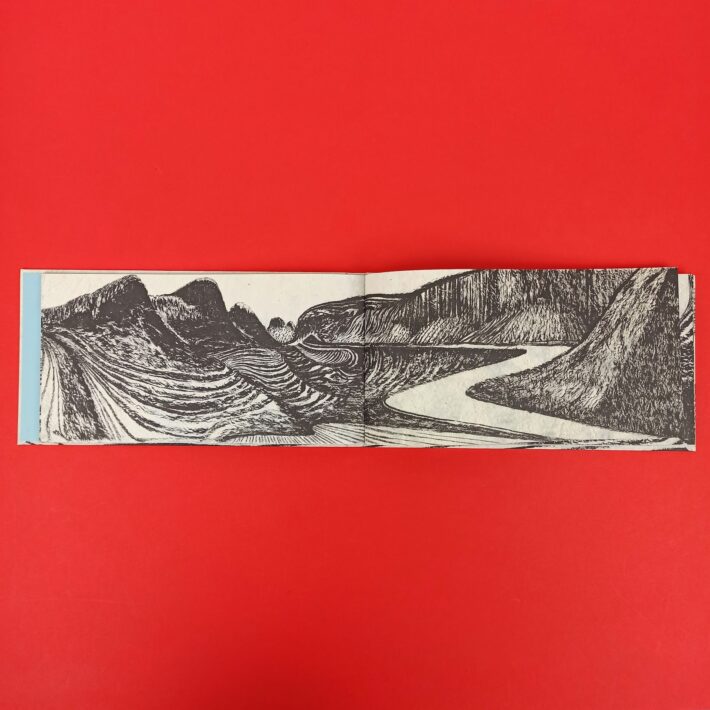 Patagonia5