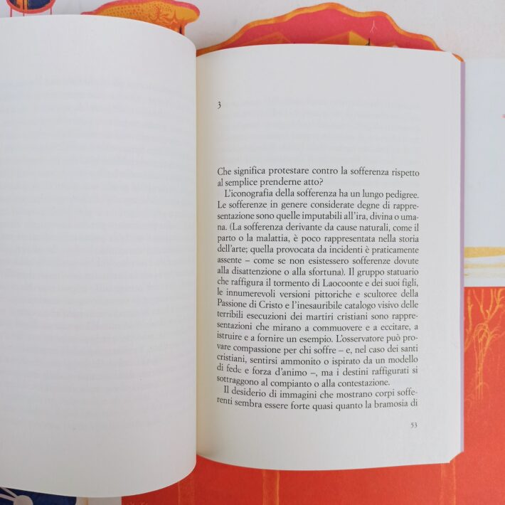 Davanti_al_dolore_degli_altri3