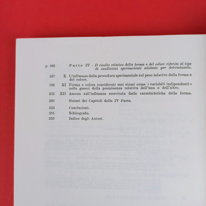 Forma_e_colore_nel_mondo_visivo_dei_bambini3