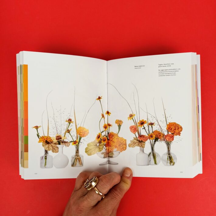 Il_colore_dei_fiori6