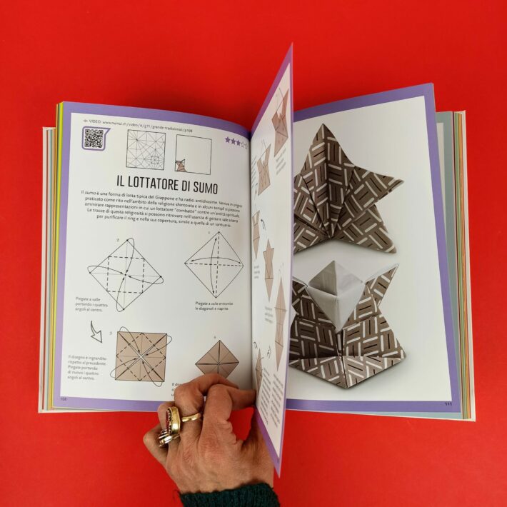 Il grande libro degli origami tradizionali - SpazioB**K