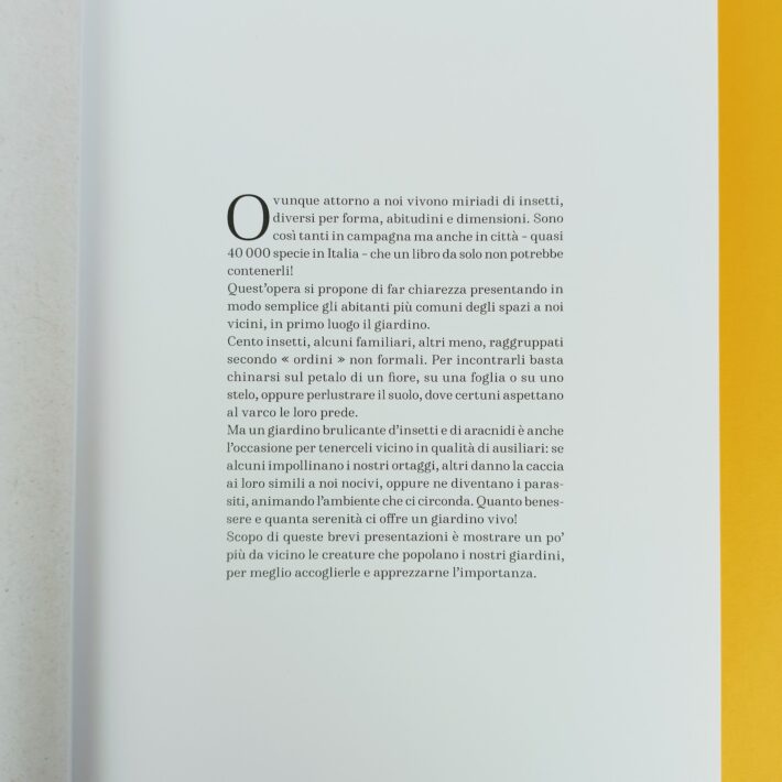 Il_piccolo_popolo_del_giardino2