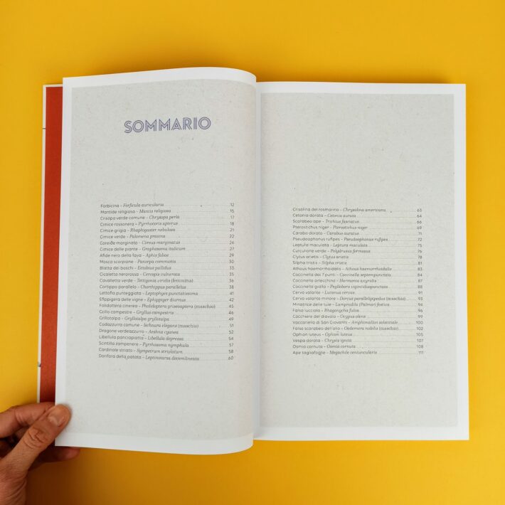 Il_piccolo_popolo_del_giardino3