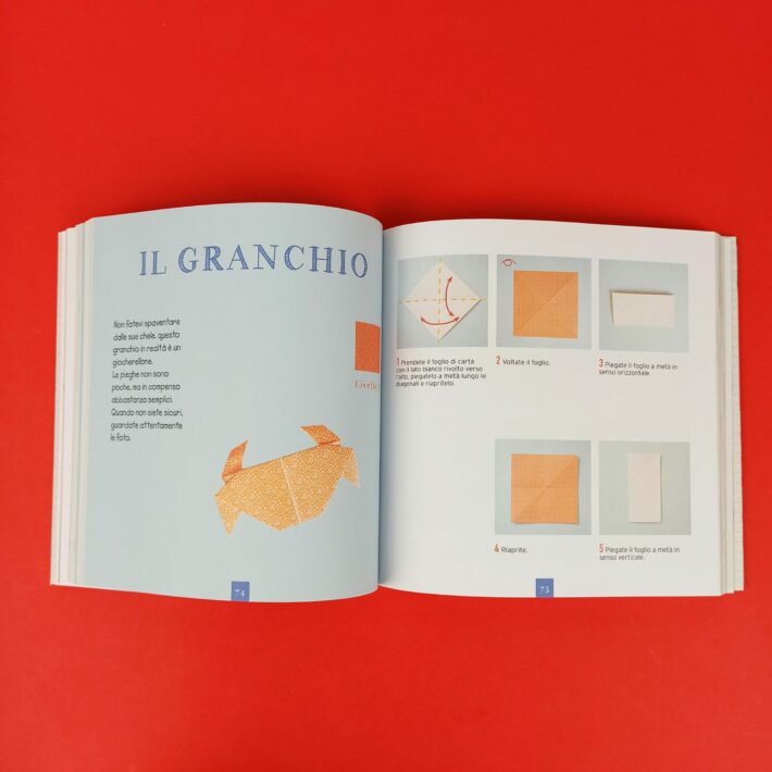 Origami_25_progetti_per_bambini4