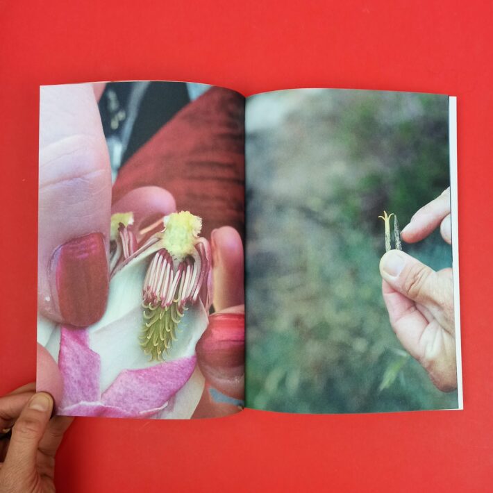 Beyond_plant_blindness3