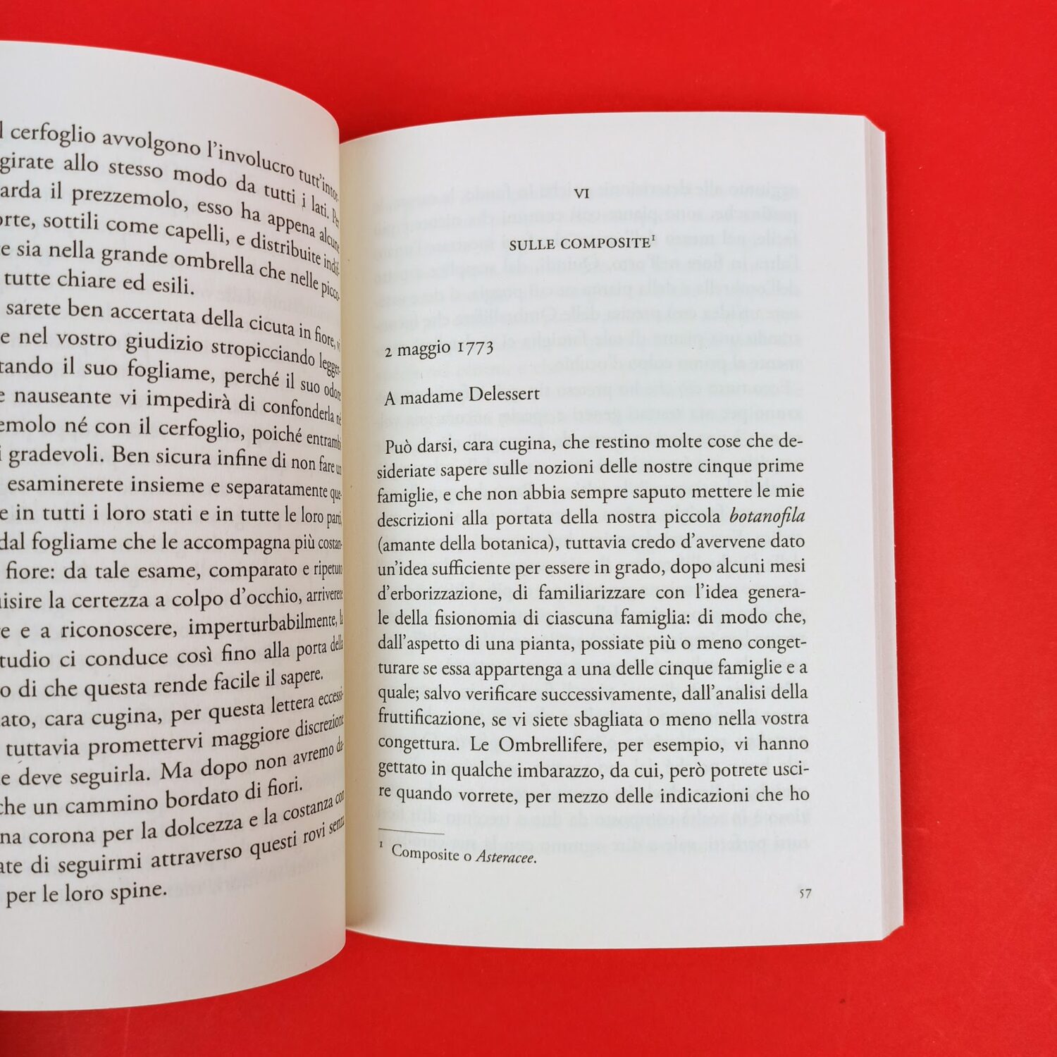 Brevi_lezioni_di_botanica4