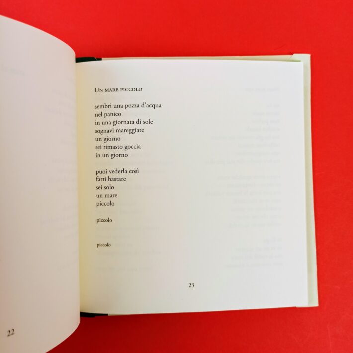 Poesie_che_non_mi_stavano_da_nessuna_parte2