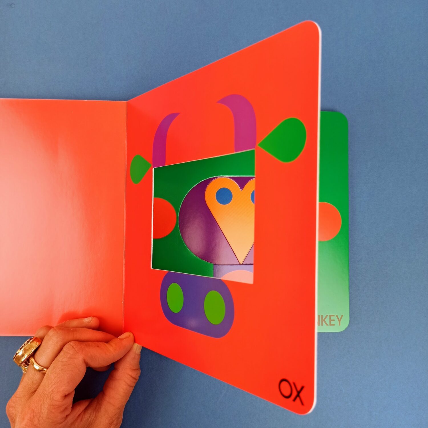 Color_zoo3
