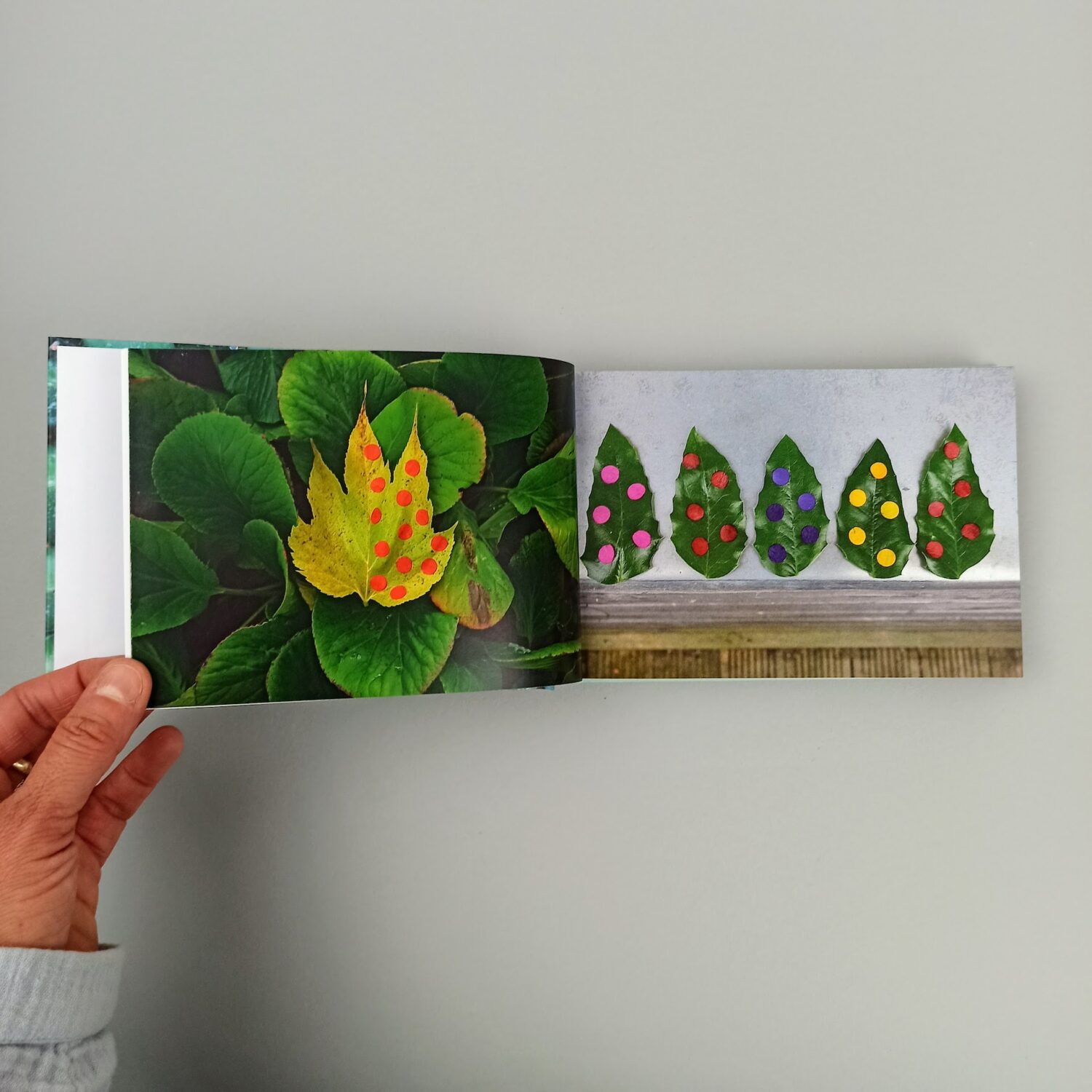 Feuilles2