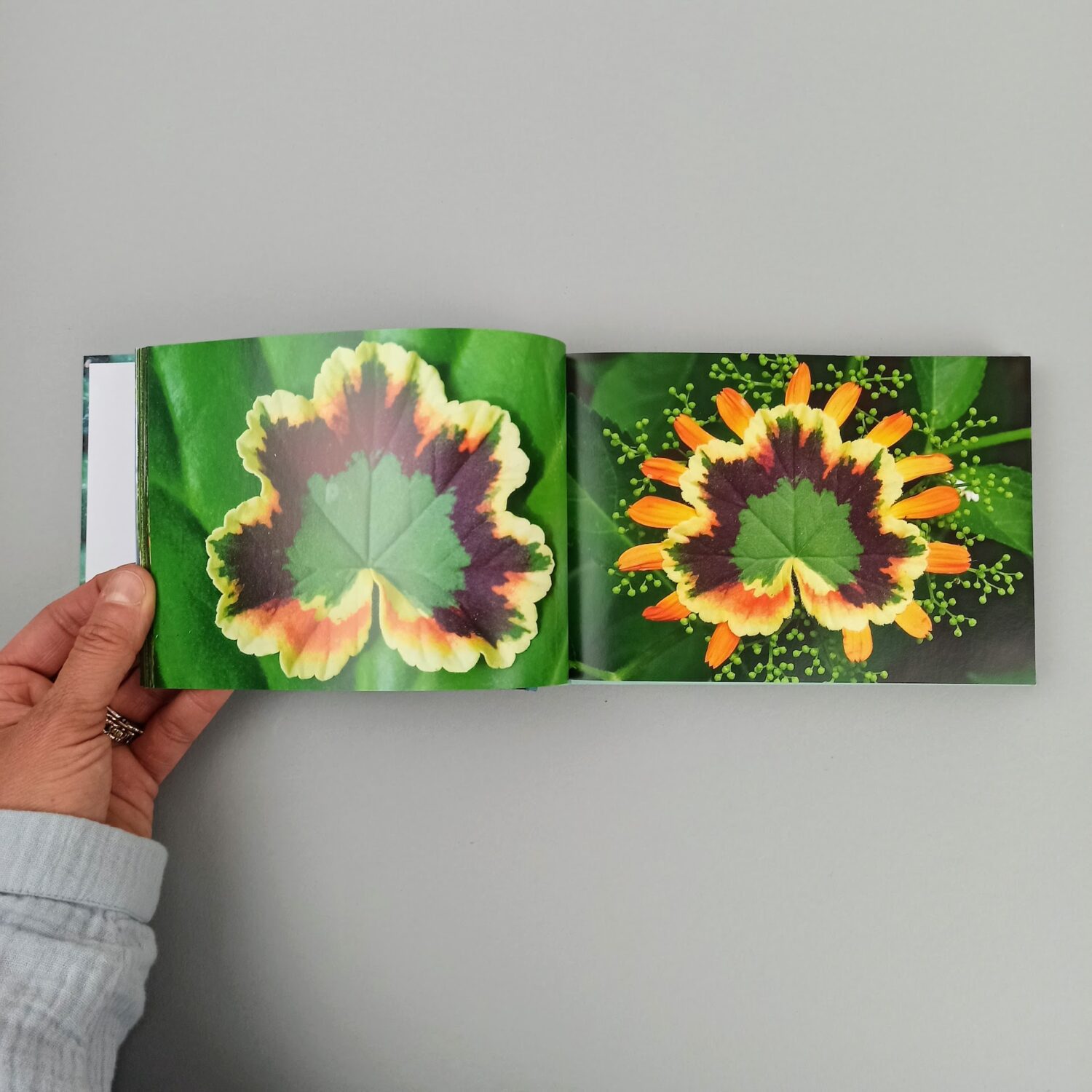 Feuilles3