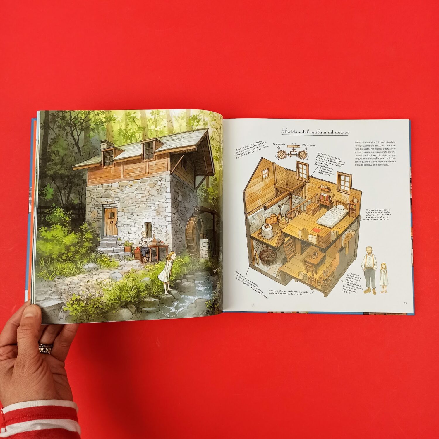 Il_libro_delle_case_straordinerie4