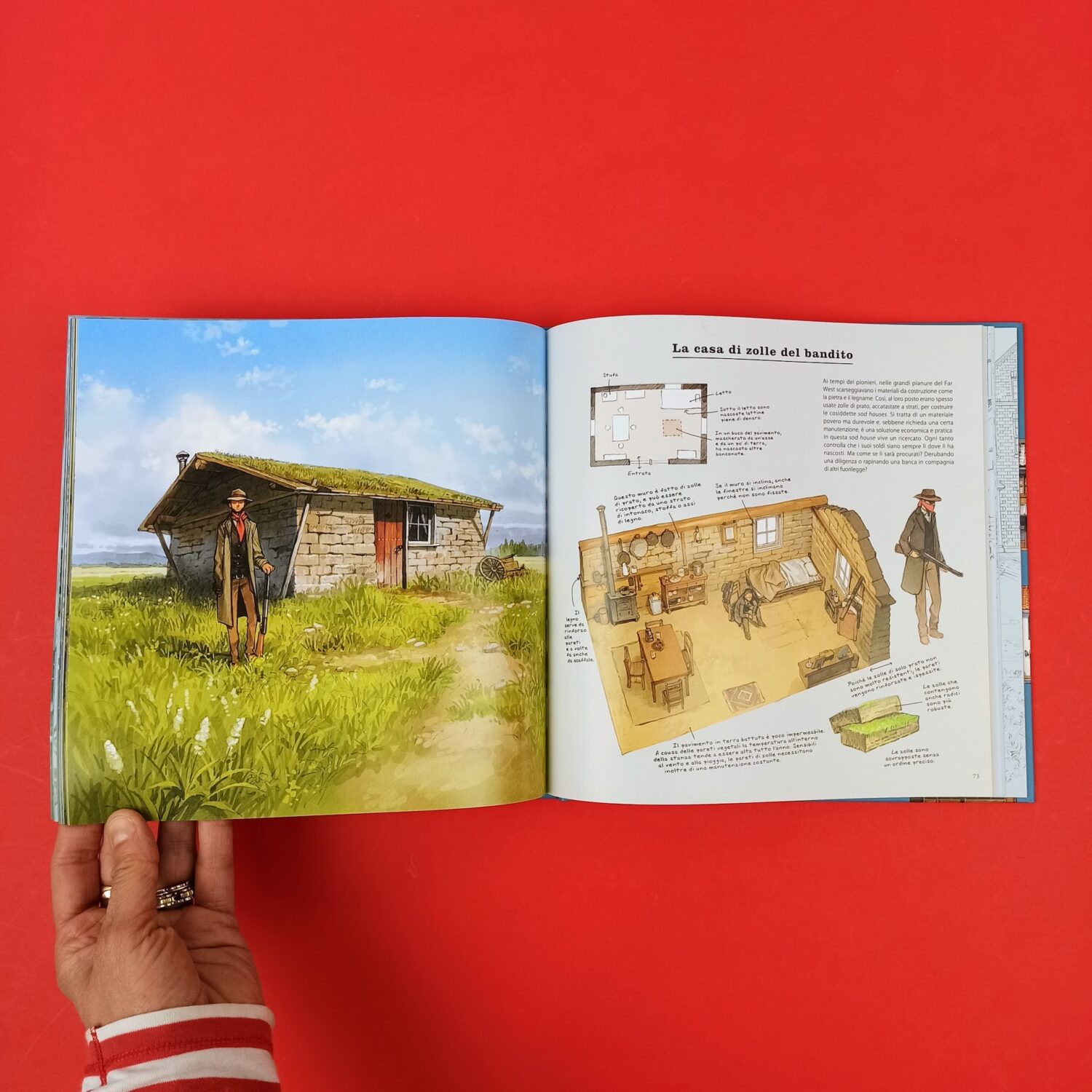 Il_libro_delle_case_straordinerie5