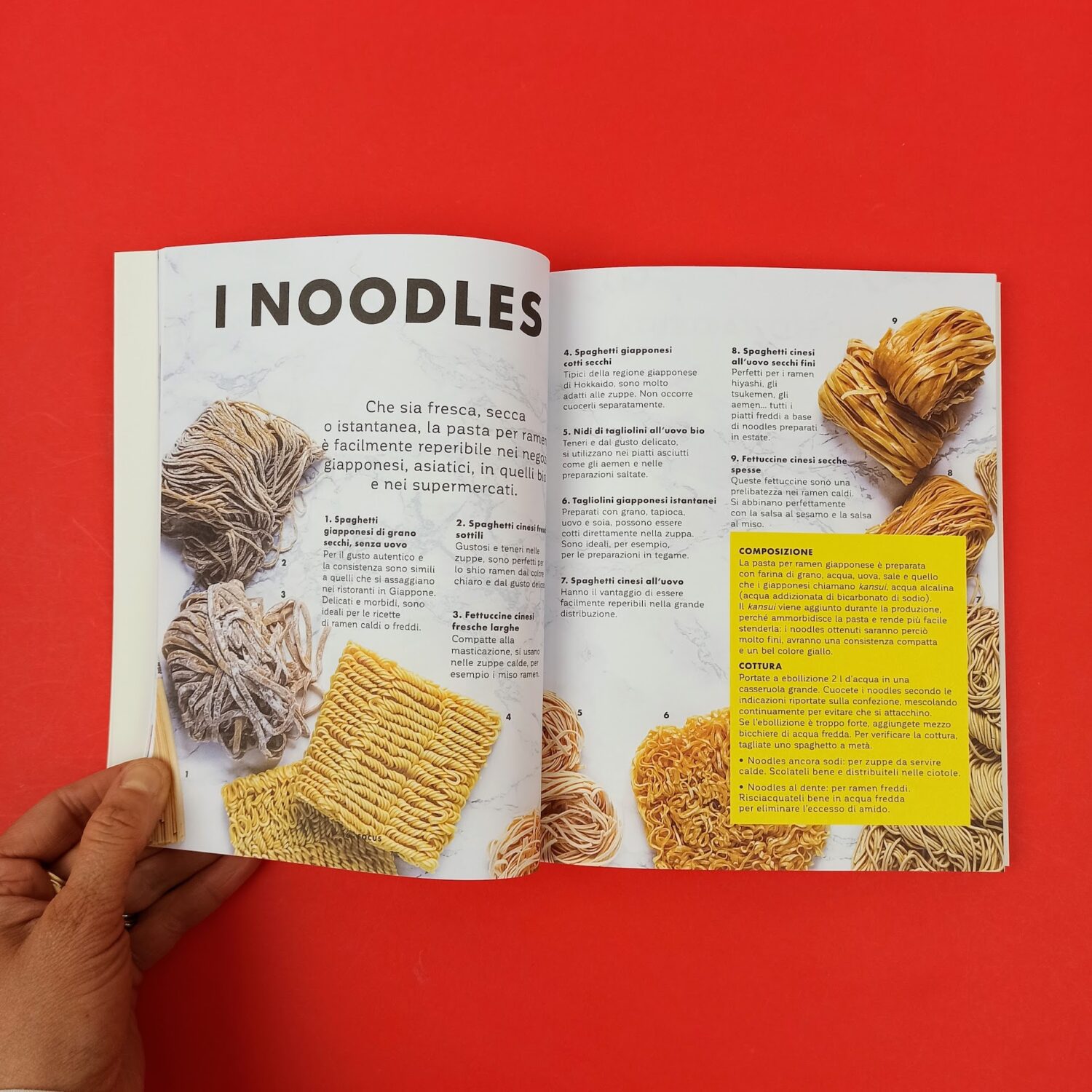Ramen_e_altri_brodi_giapponesi4