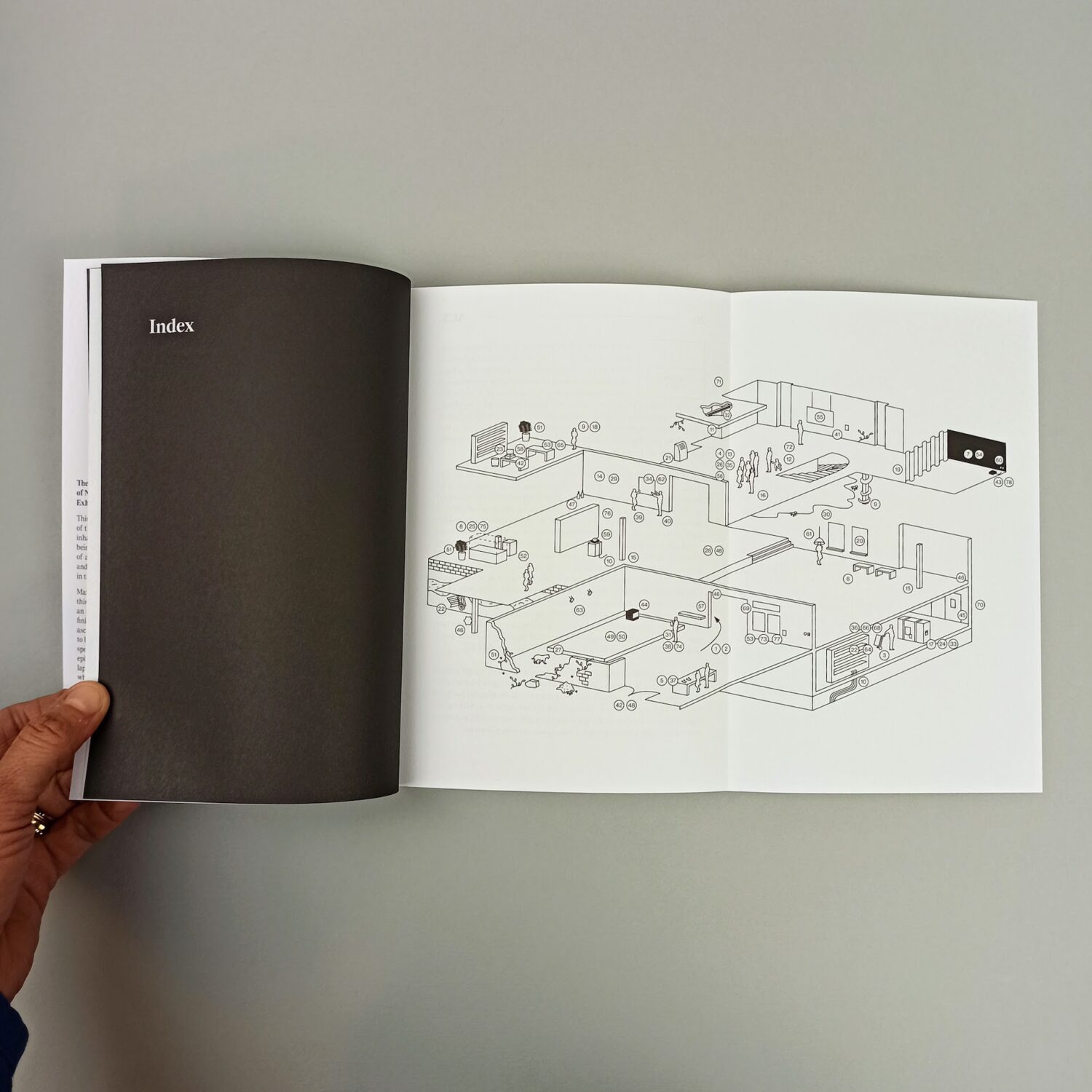 The_standard_book_of_non_verb_exhibition_grammar5