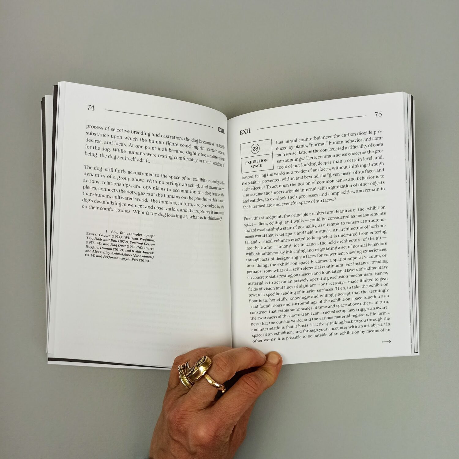 The_standard_book_of_non_verb_exhibition_grammar6