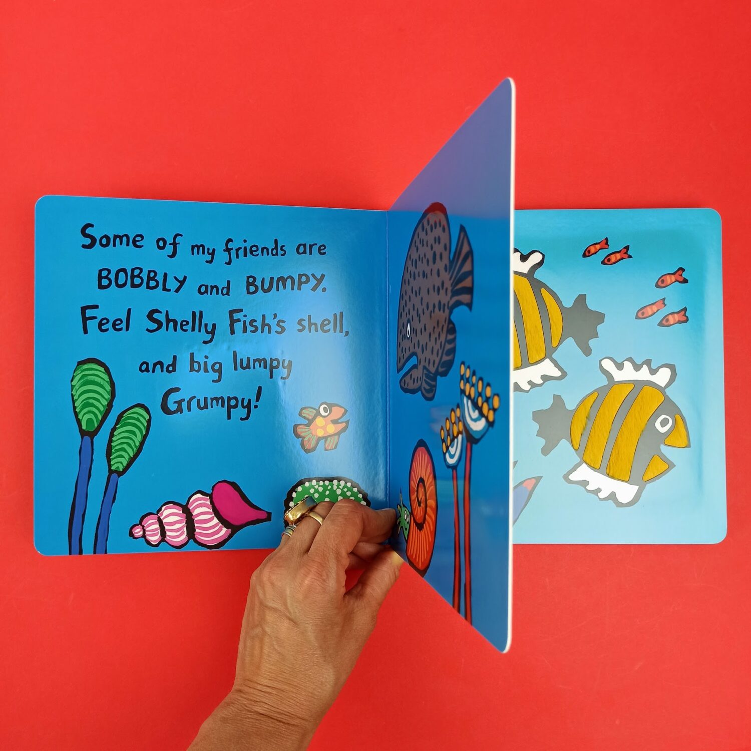 Little_fish_and_frinds2