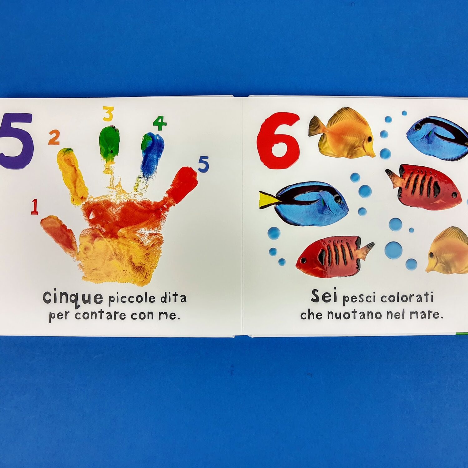 Guarda_tocca_senti_123_3
