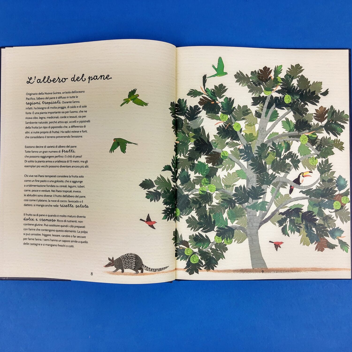 Il_favoloso_mondo_degli_alberi_3