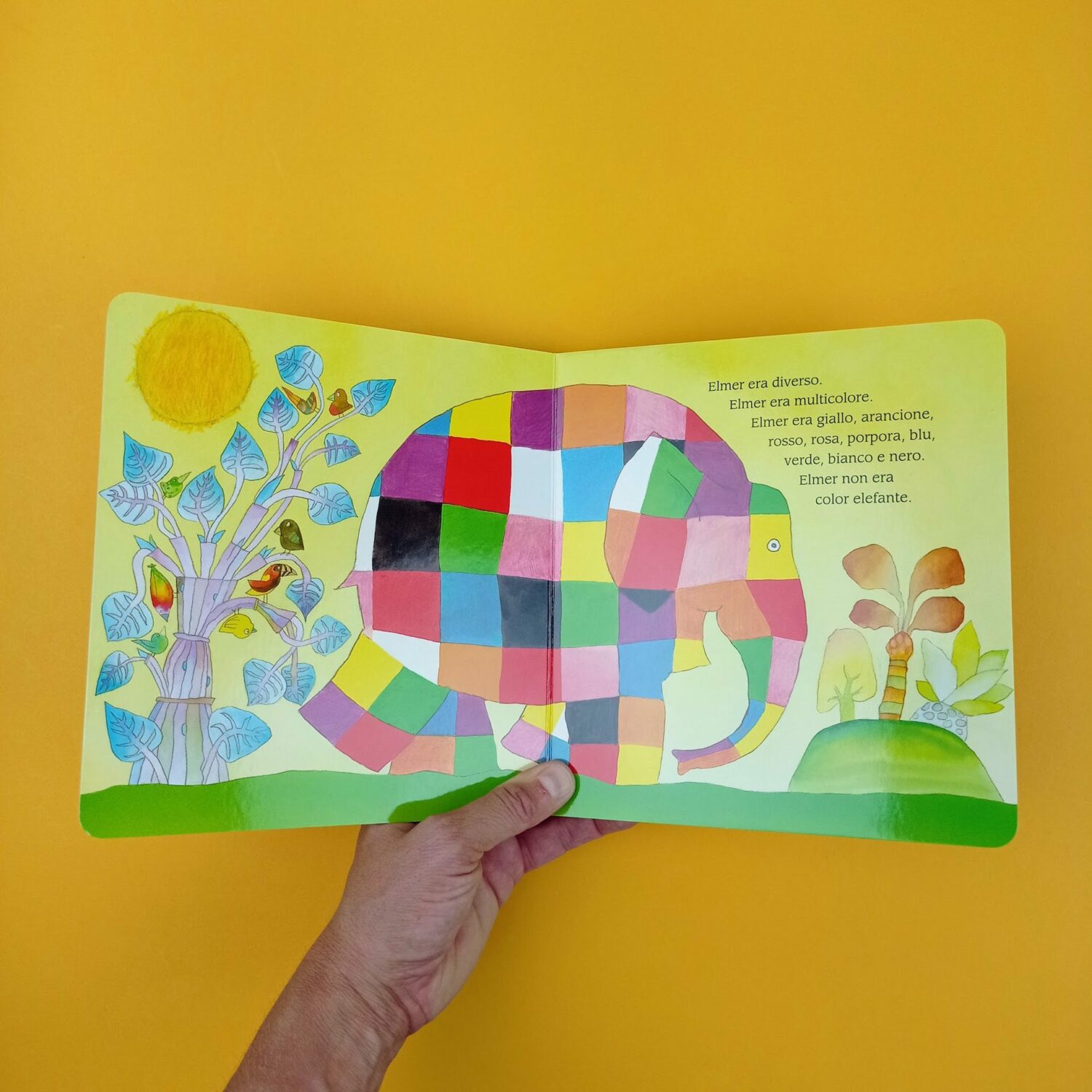 Elmer_l’elefante_variopinto2