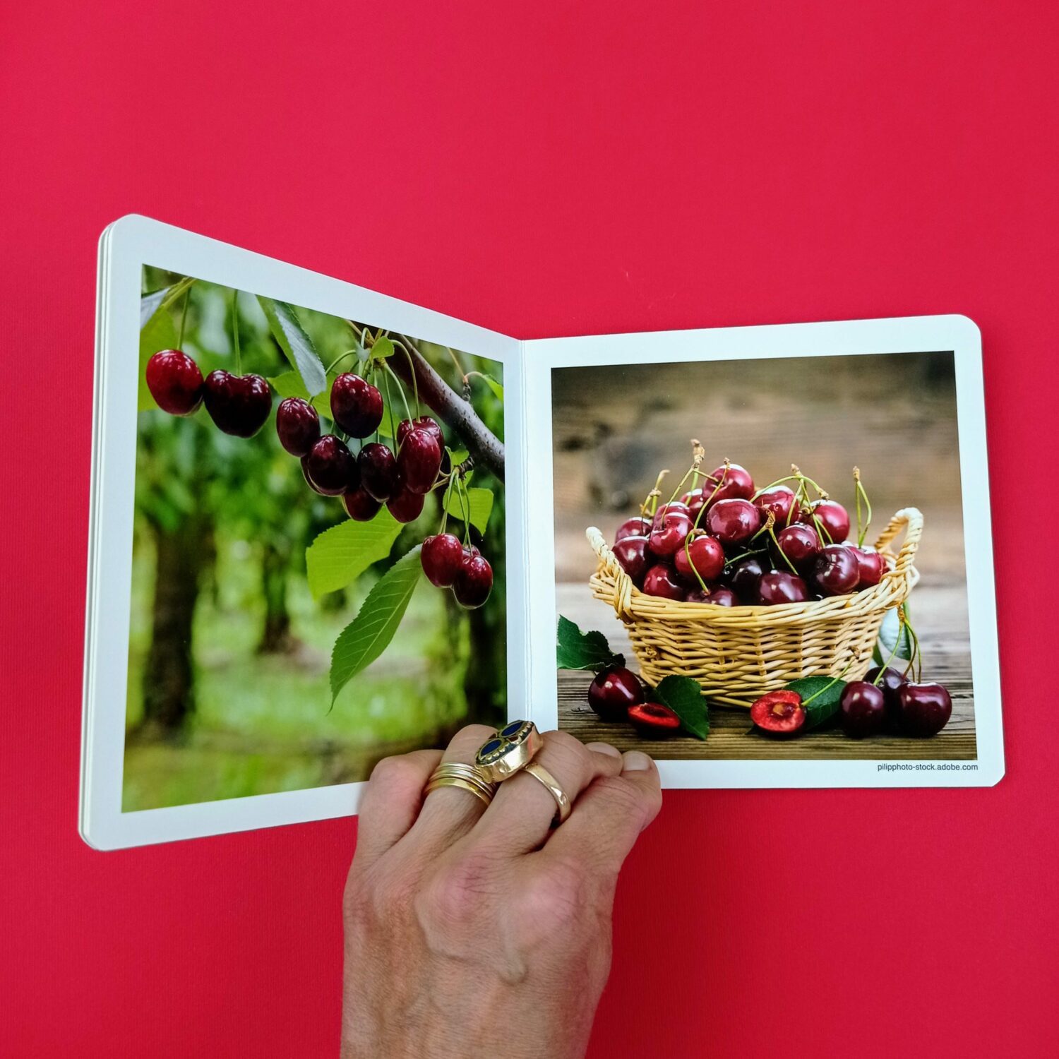 Frutas_del_bosque2