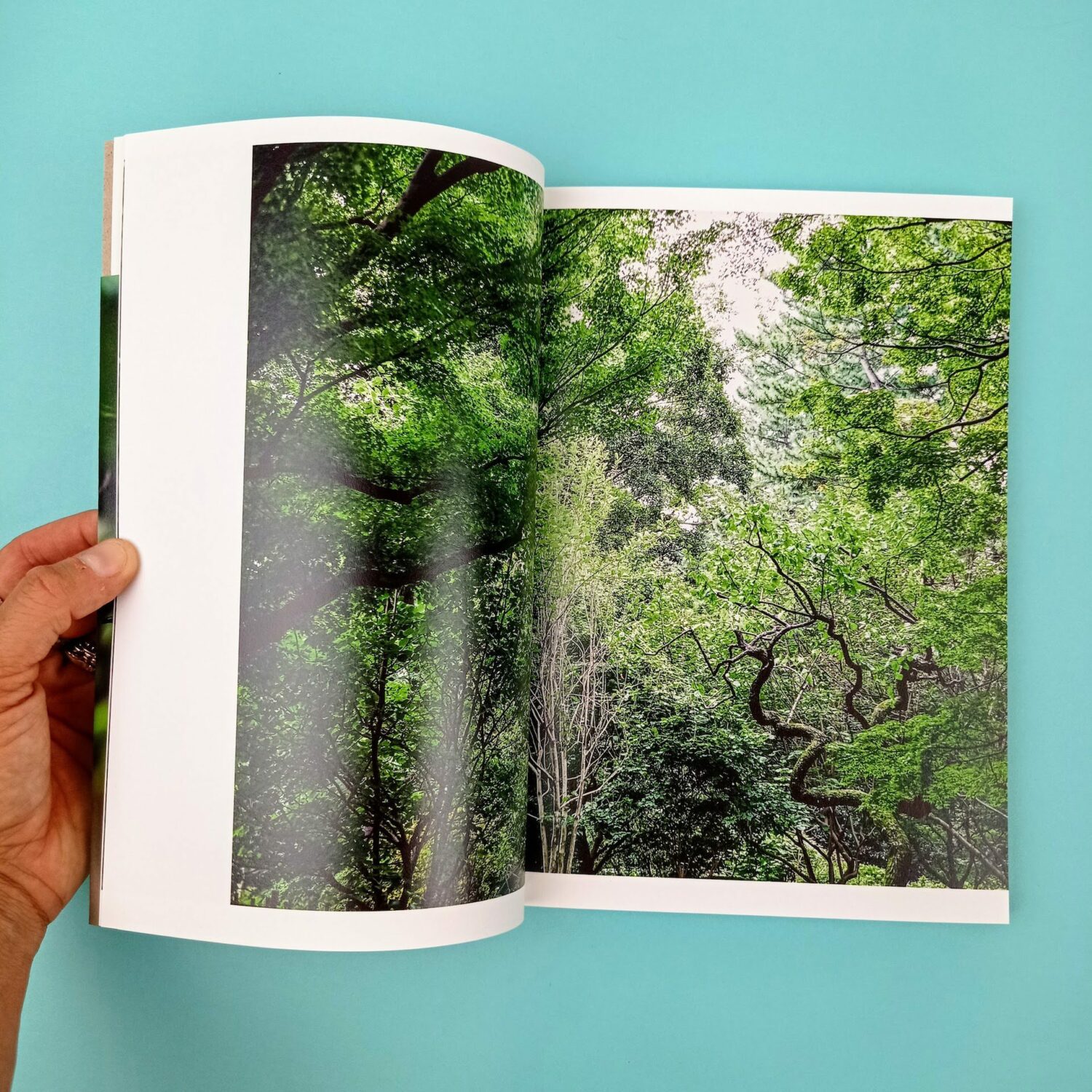 Garden_of_life2