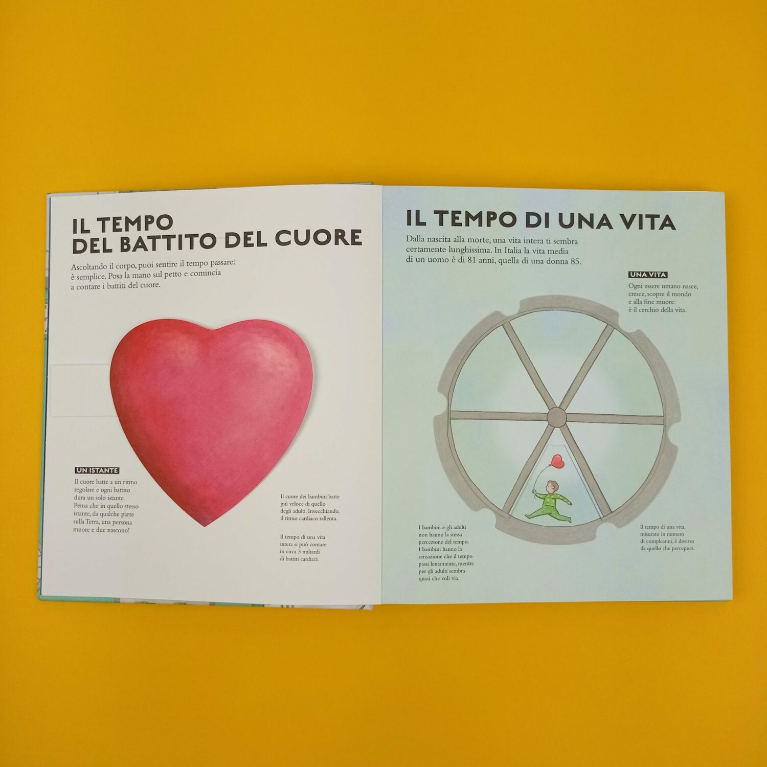 Il_libro_dei_tempi3