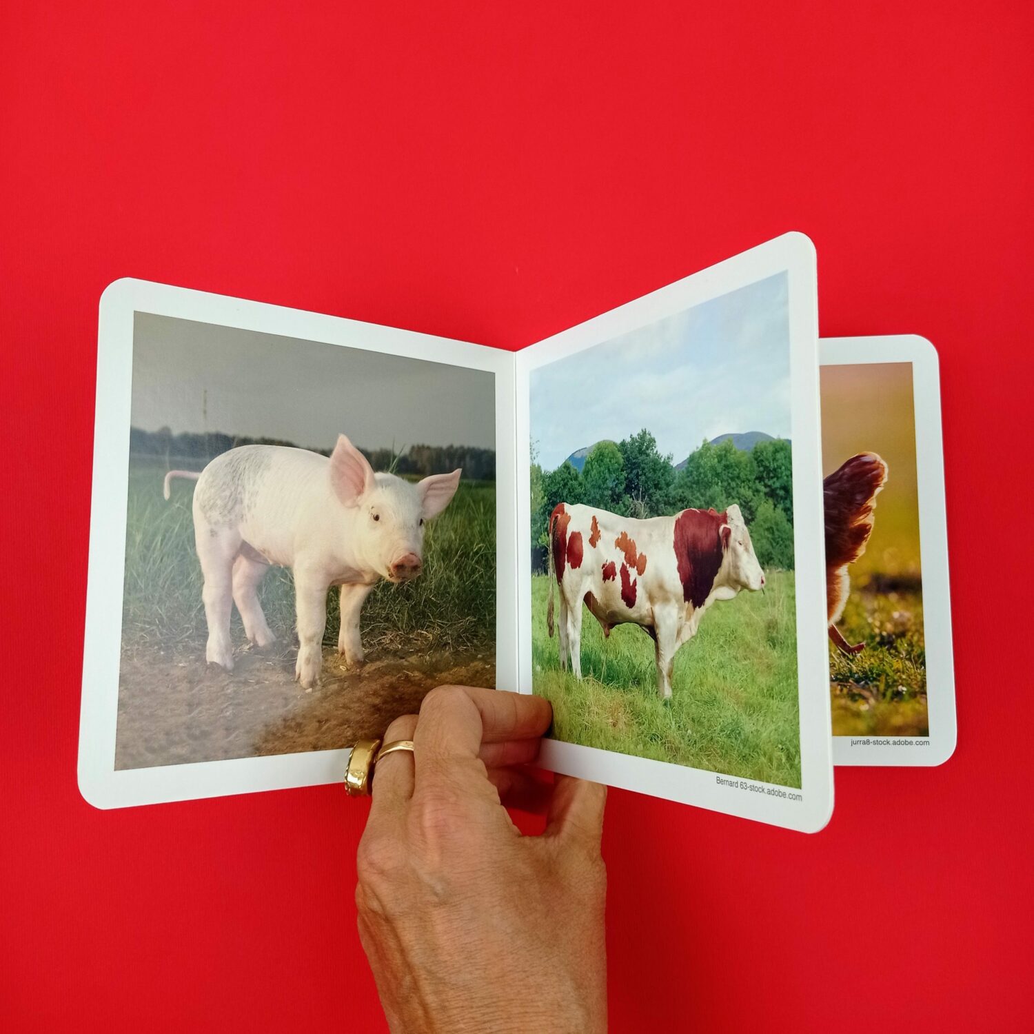 Los_animales_de_la_granja2