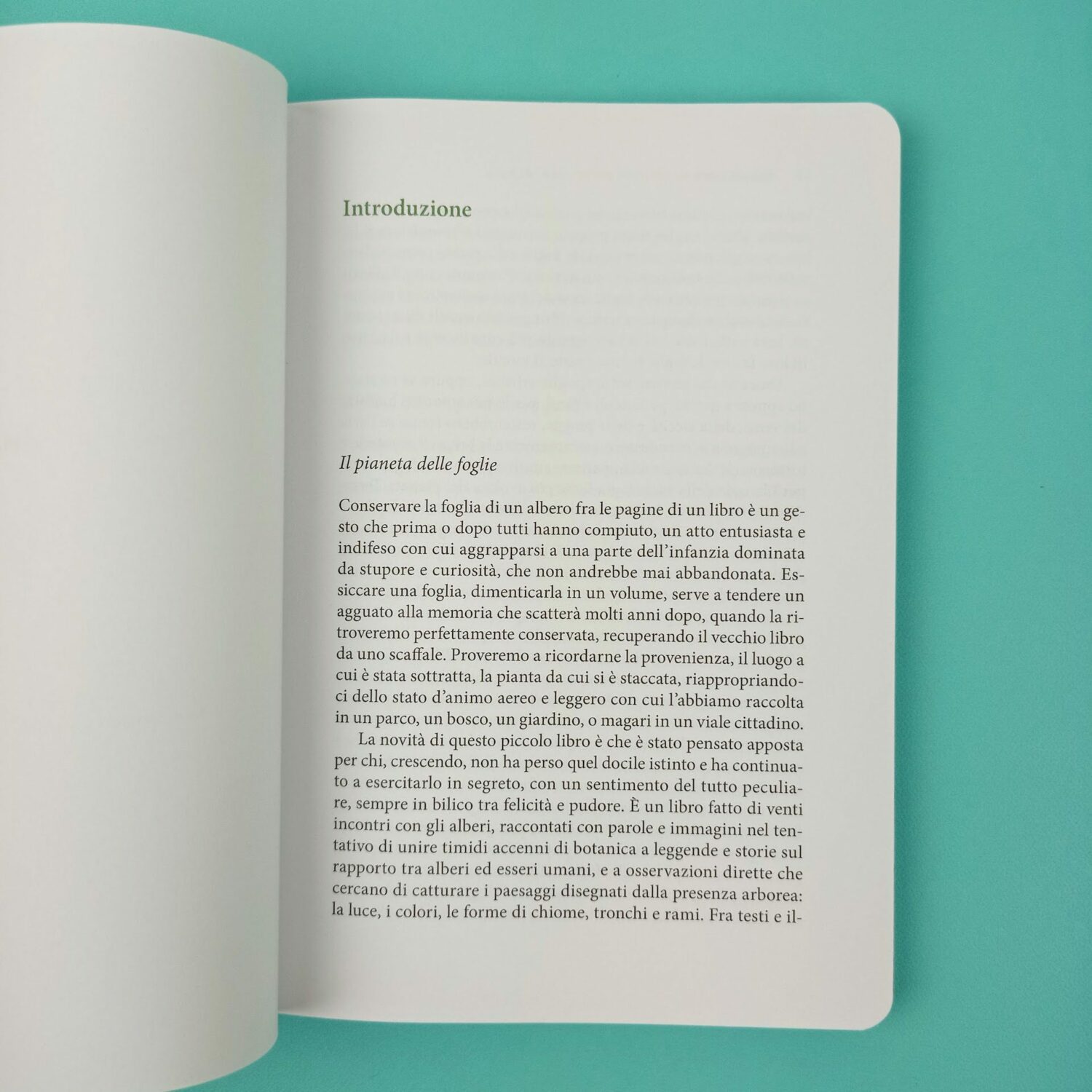 Piccolo_manuale_per_cercatori_di_foglie3