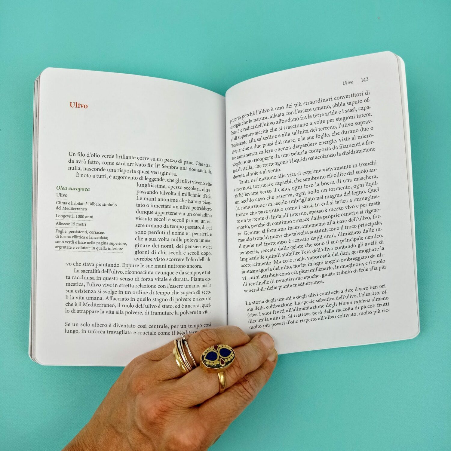 Piccolo_manuale_per_cercatori_di_foglie6