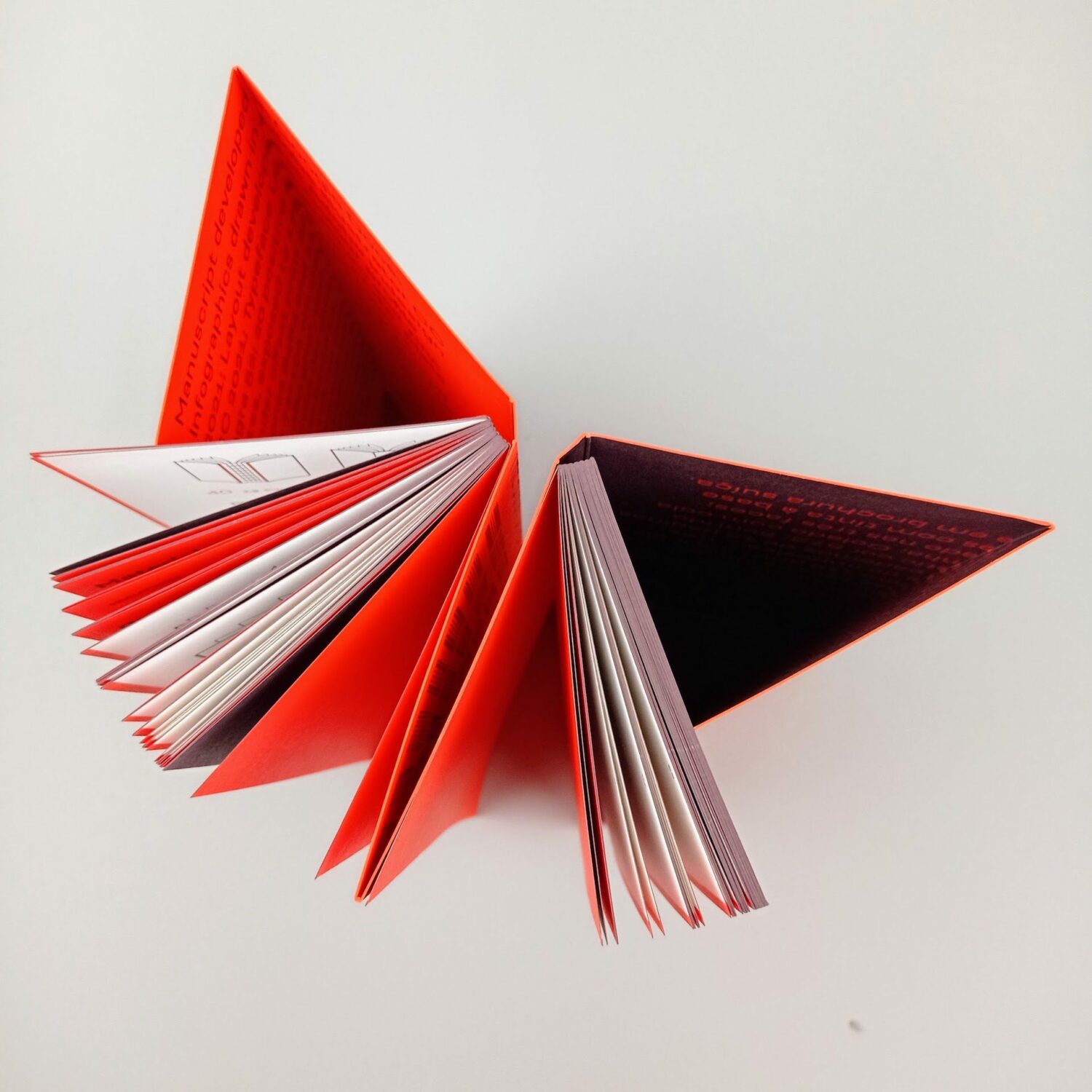 The_book_cover8