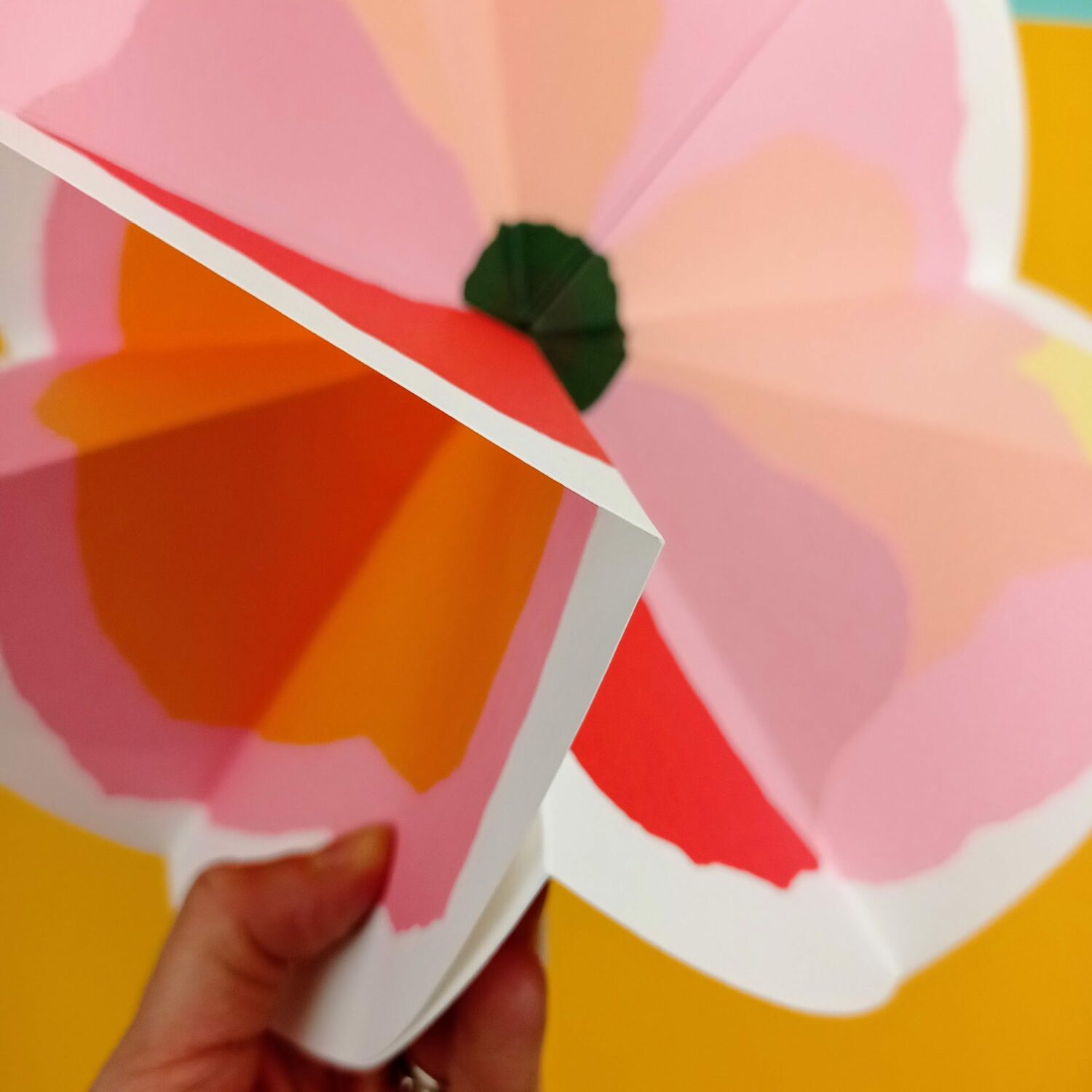 Bloom5