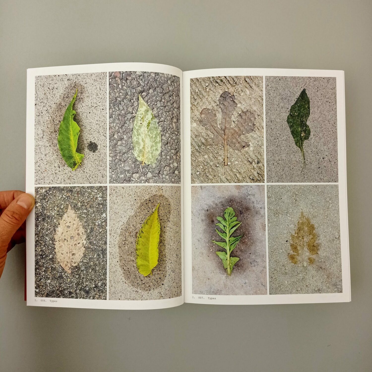Book_of_plants2