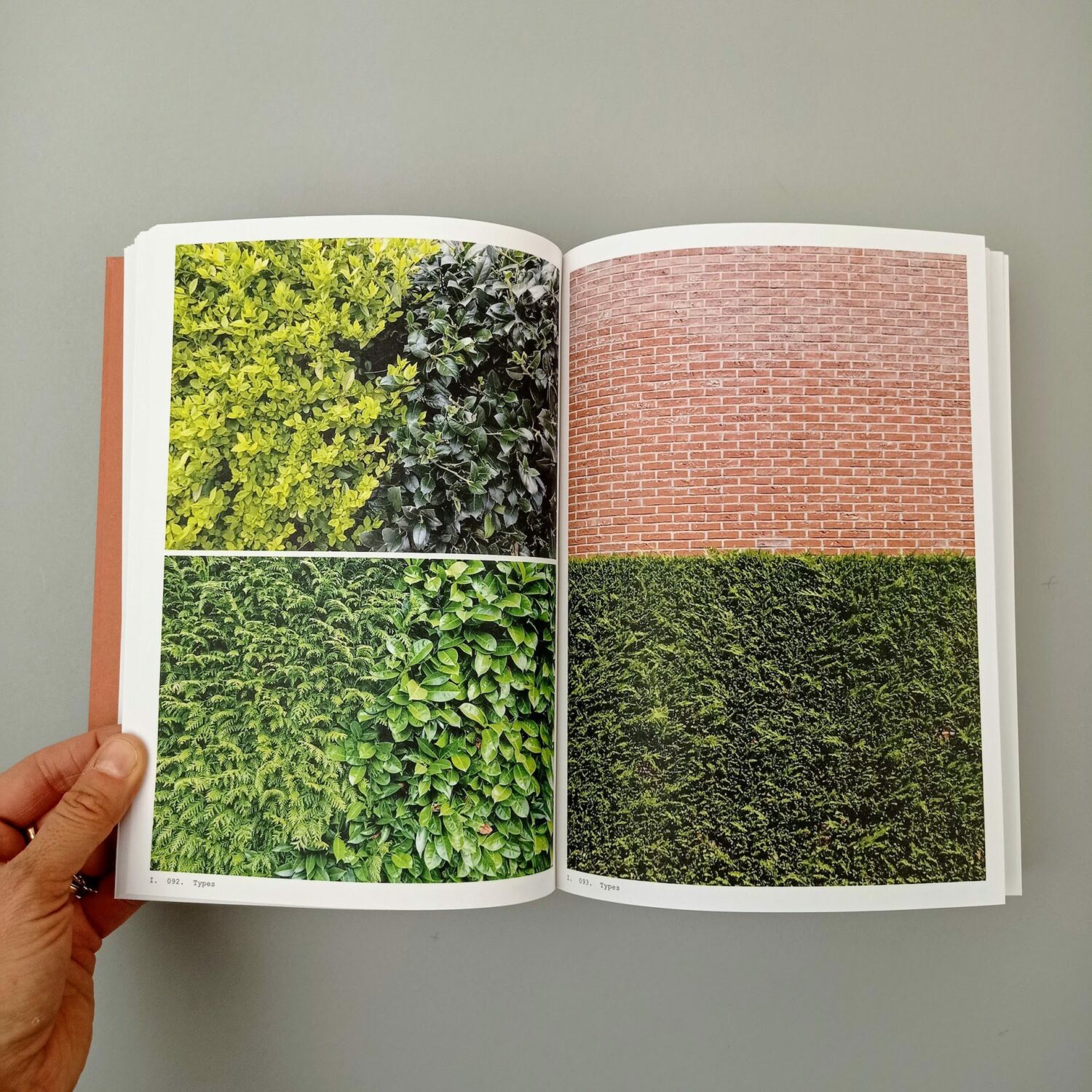Book_of_plants4