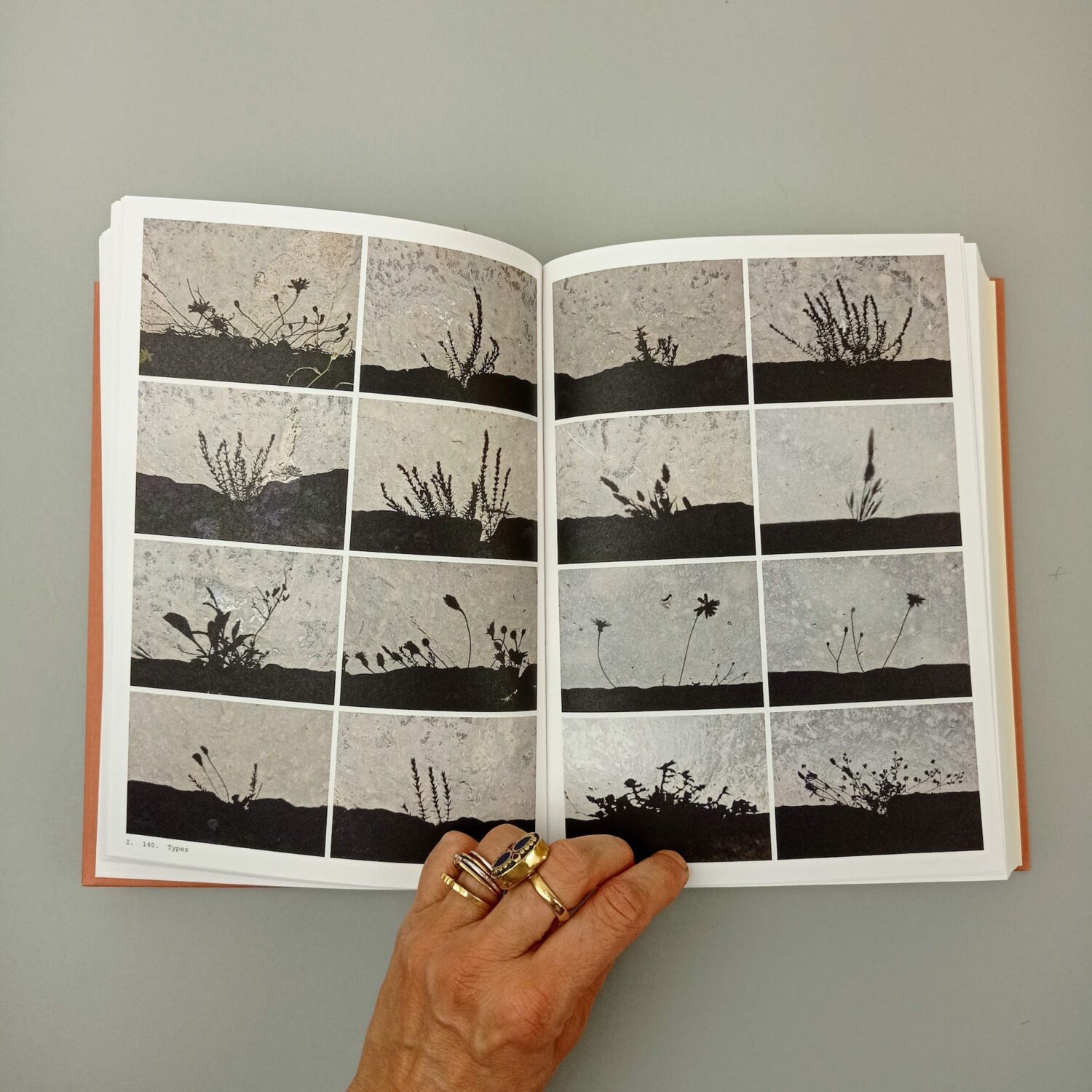 Book_of_plants5