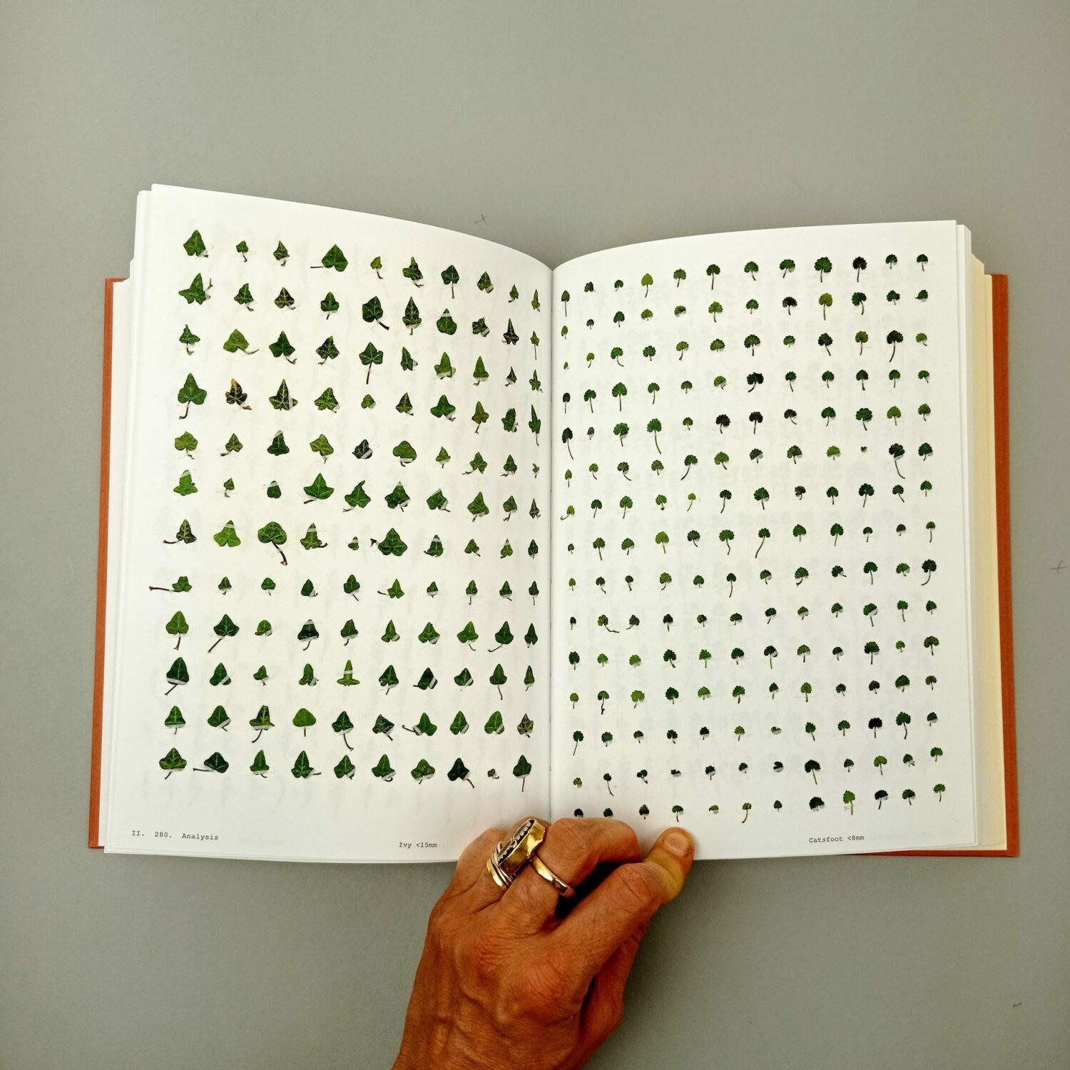 Book_of_plants7