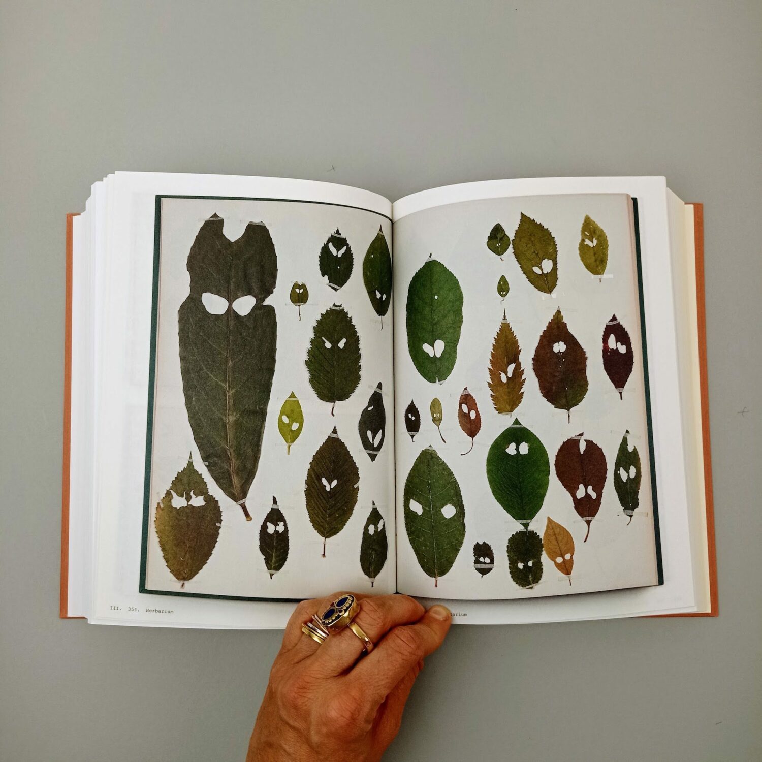 Book_of_plants8