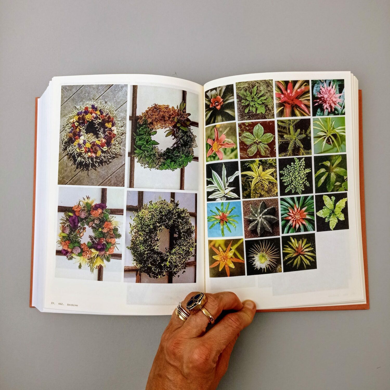 Book_of_plants9