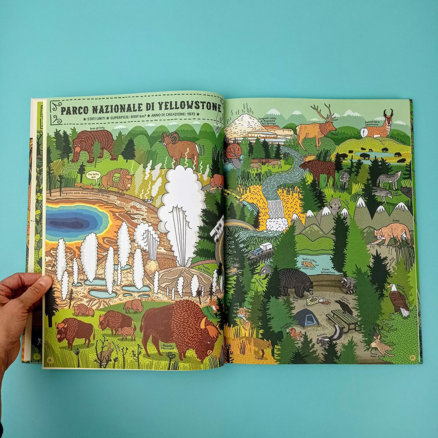 Da_che_parte_per_Yellowstone?5