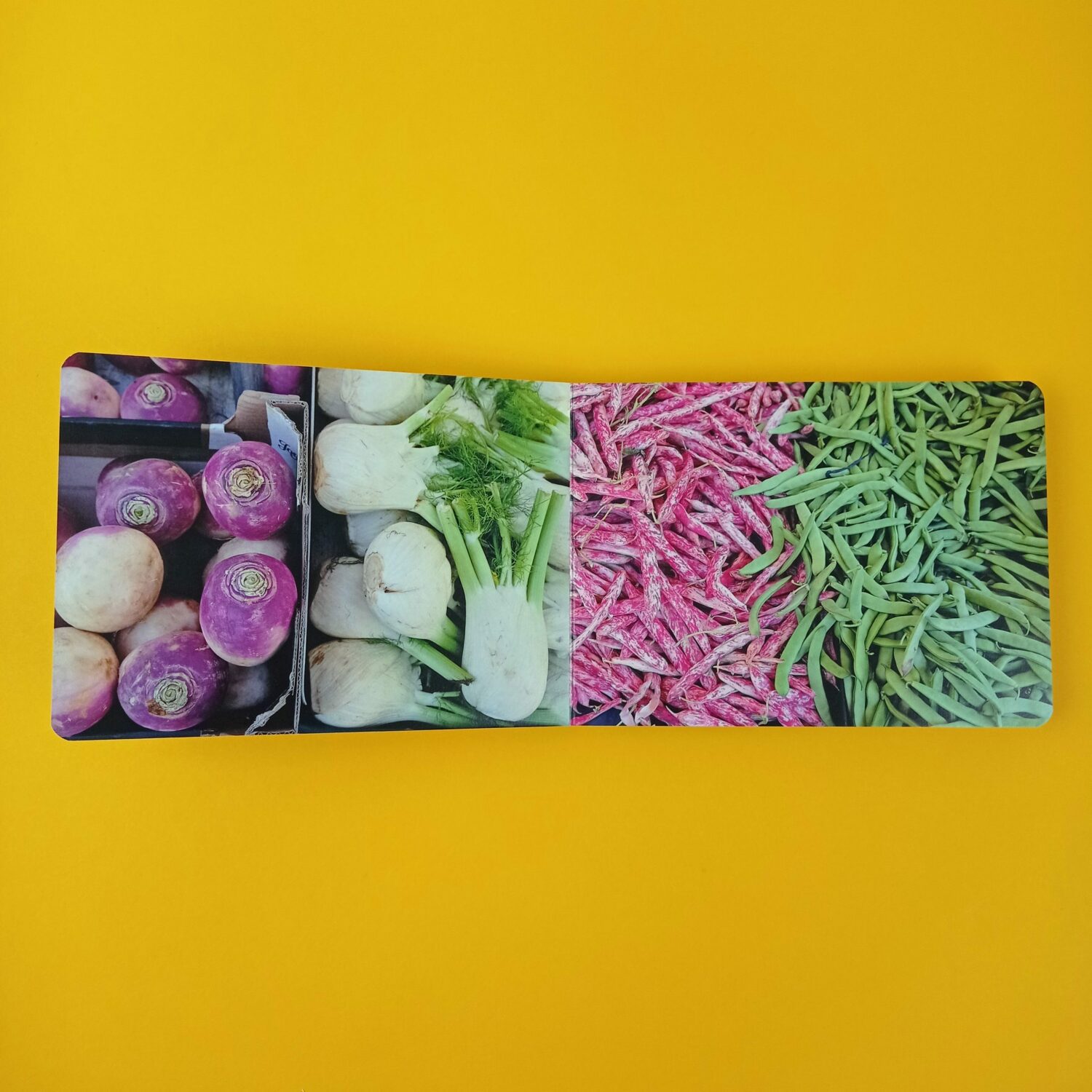 Des_gouts_et_des_couleurs3