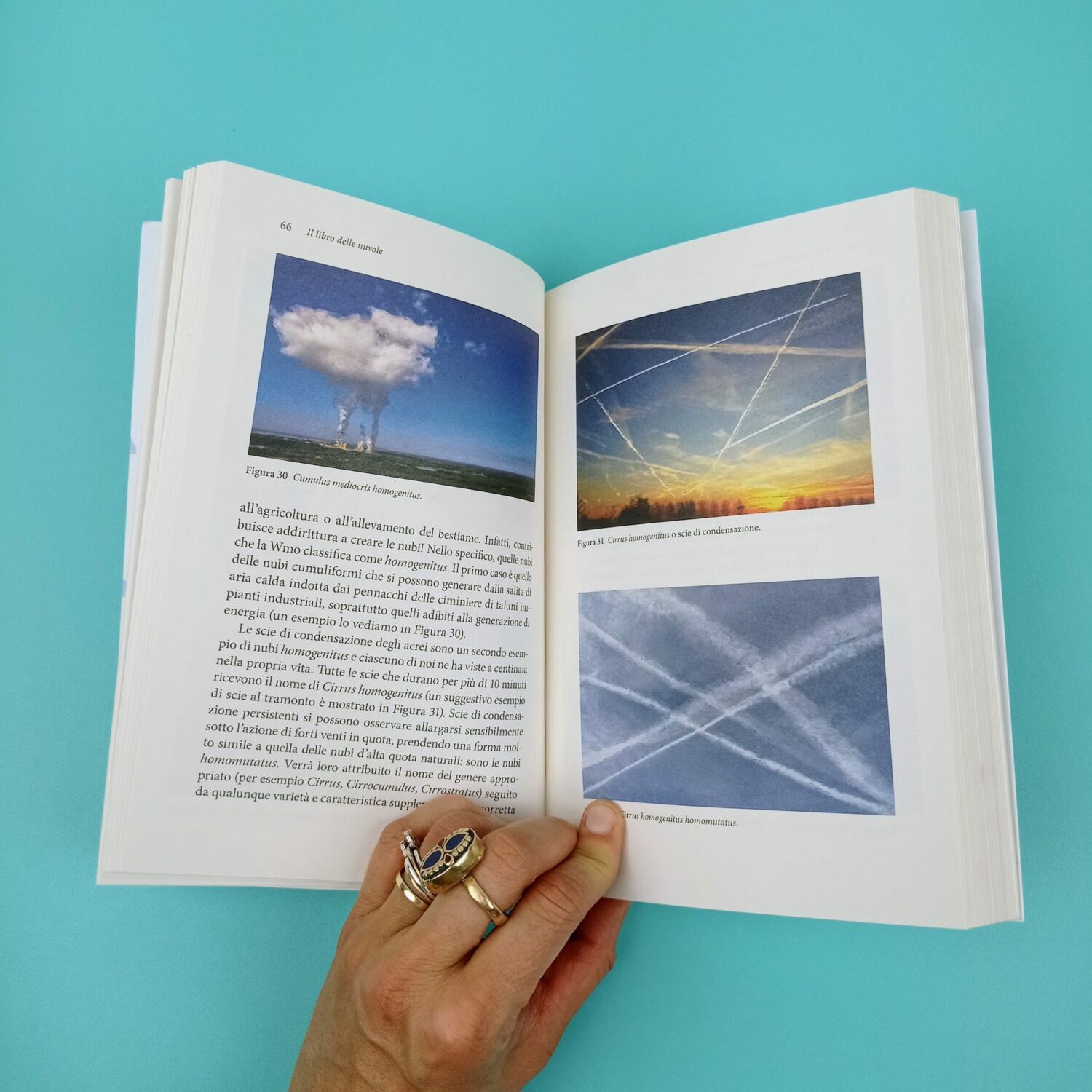 Il_libro_delle_nuvole5