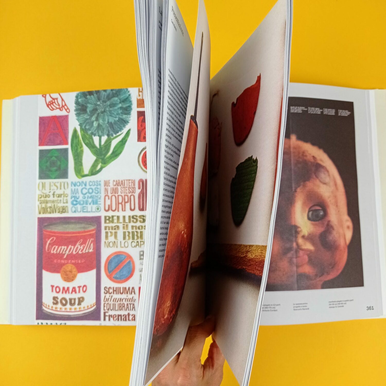 Imago12