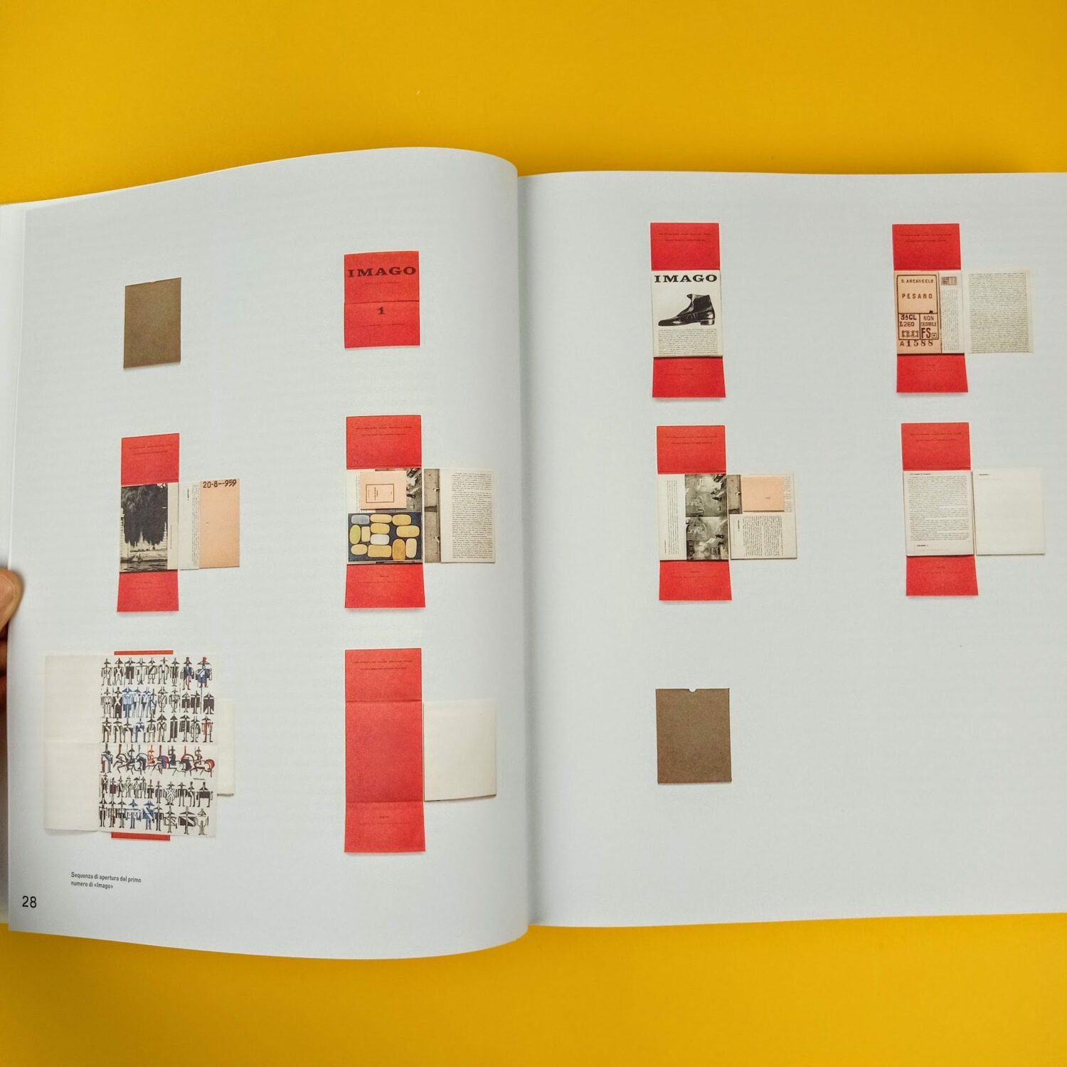 Imago6