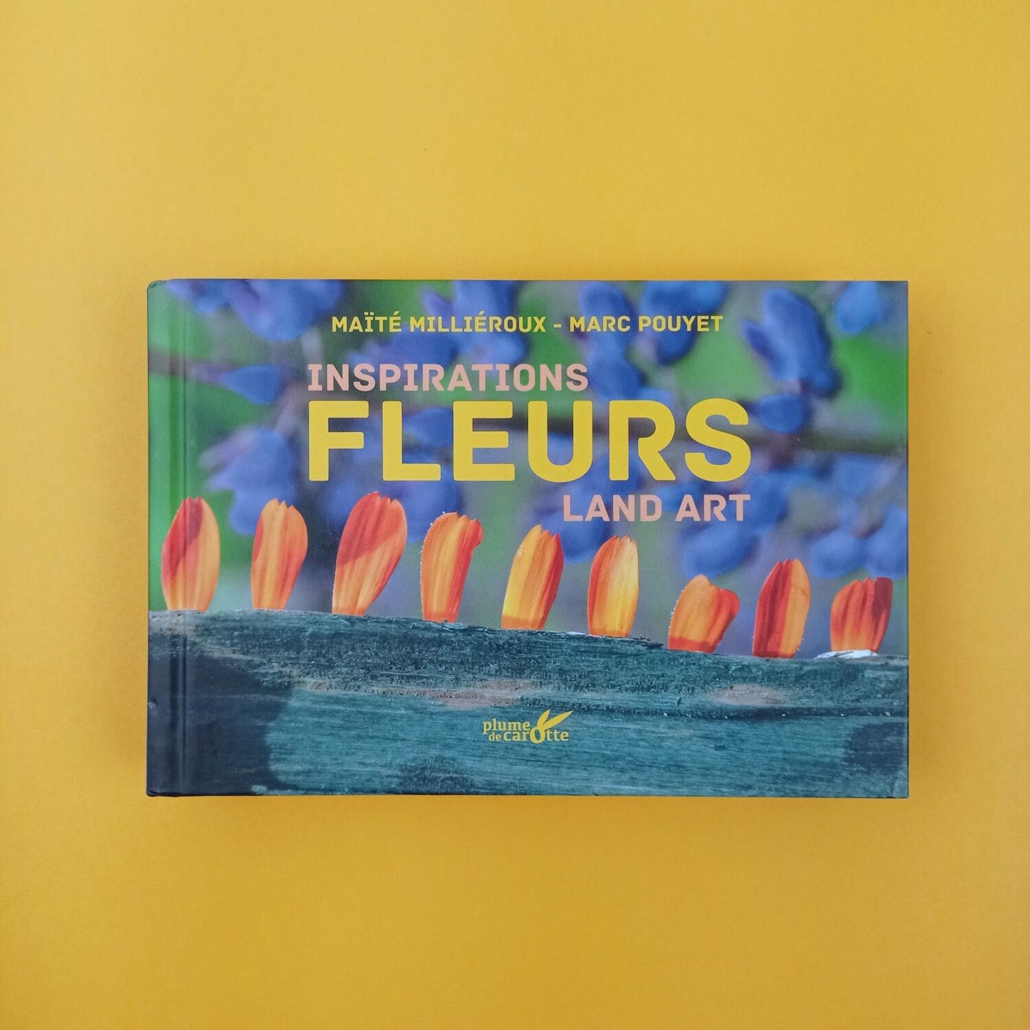 Inspirations_fleurs_land_art1