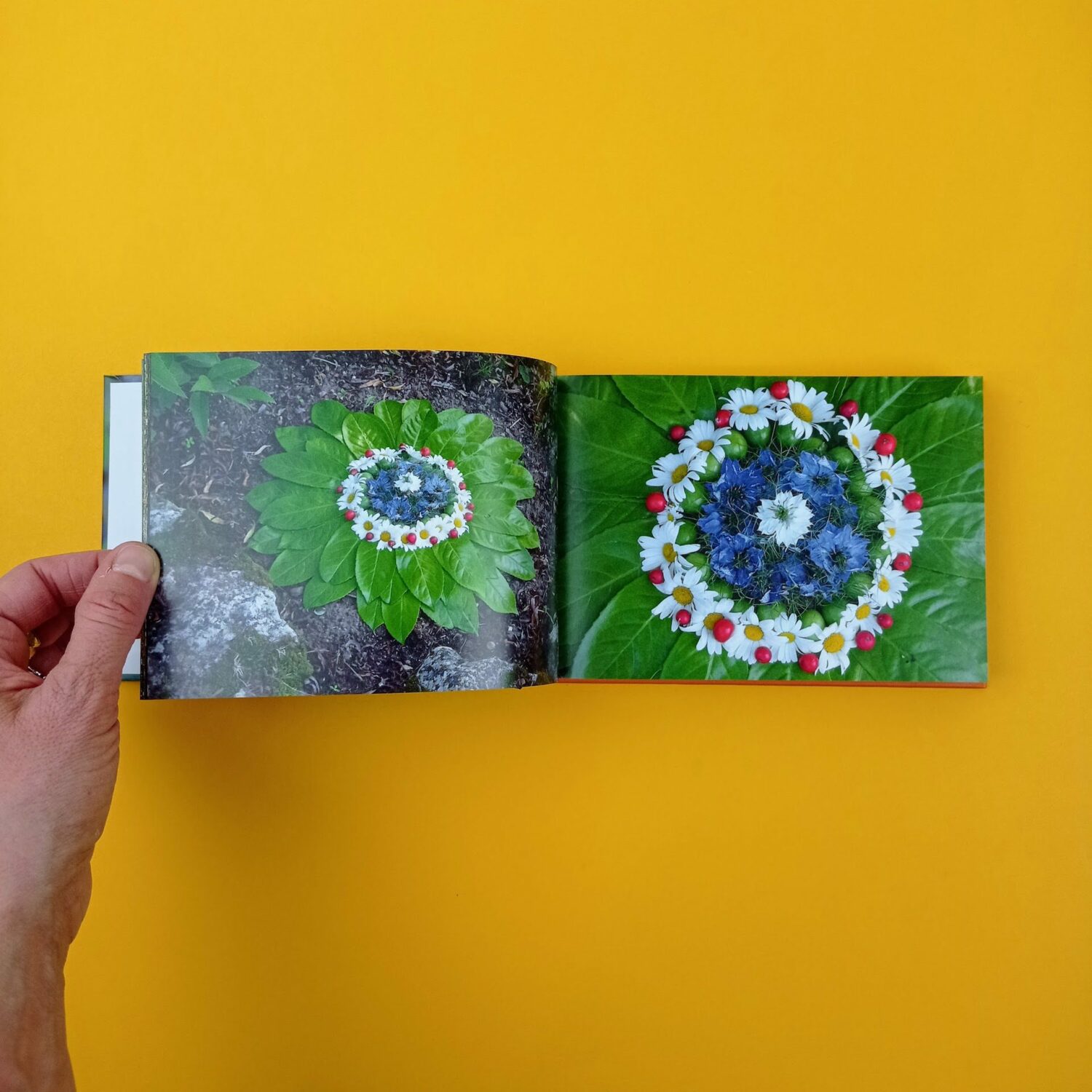 Inspirations_fleurs_land_art3